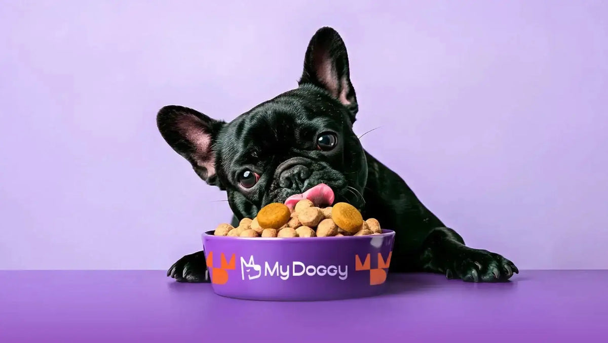 Dog Performance