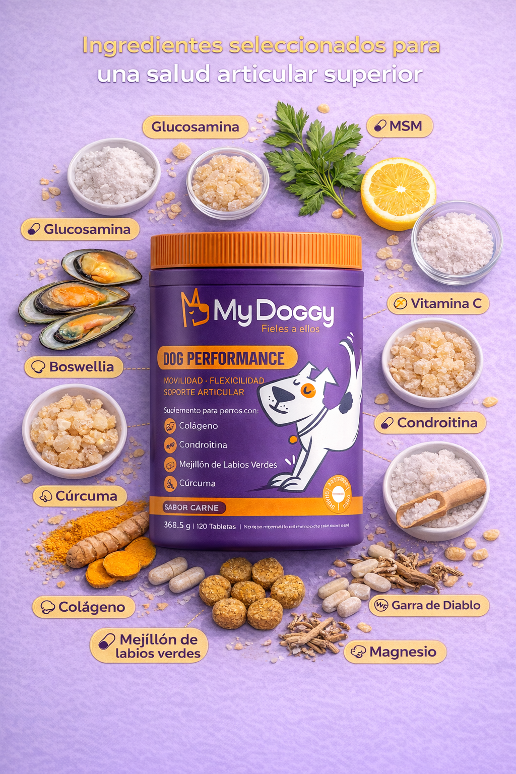 Dog Performance - Suplemento para articulaciones, desgaste progresivo y soporte articular