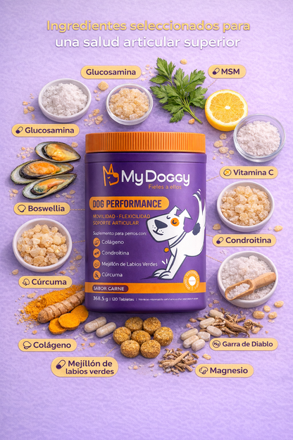 Dog Performance - Suplemento para articulaciones, desgaste progresivo y soporte articular