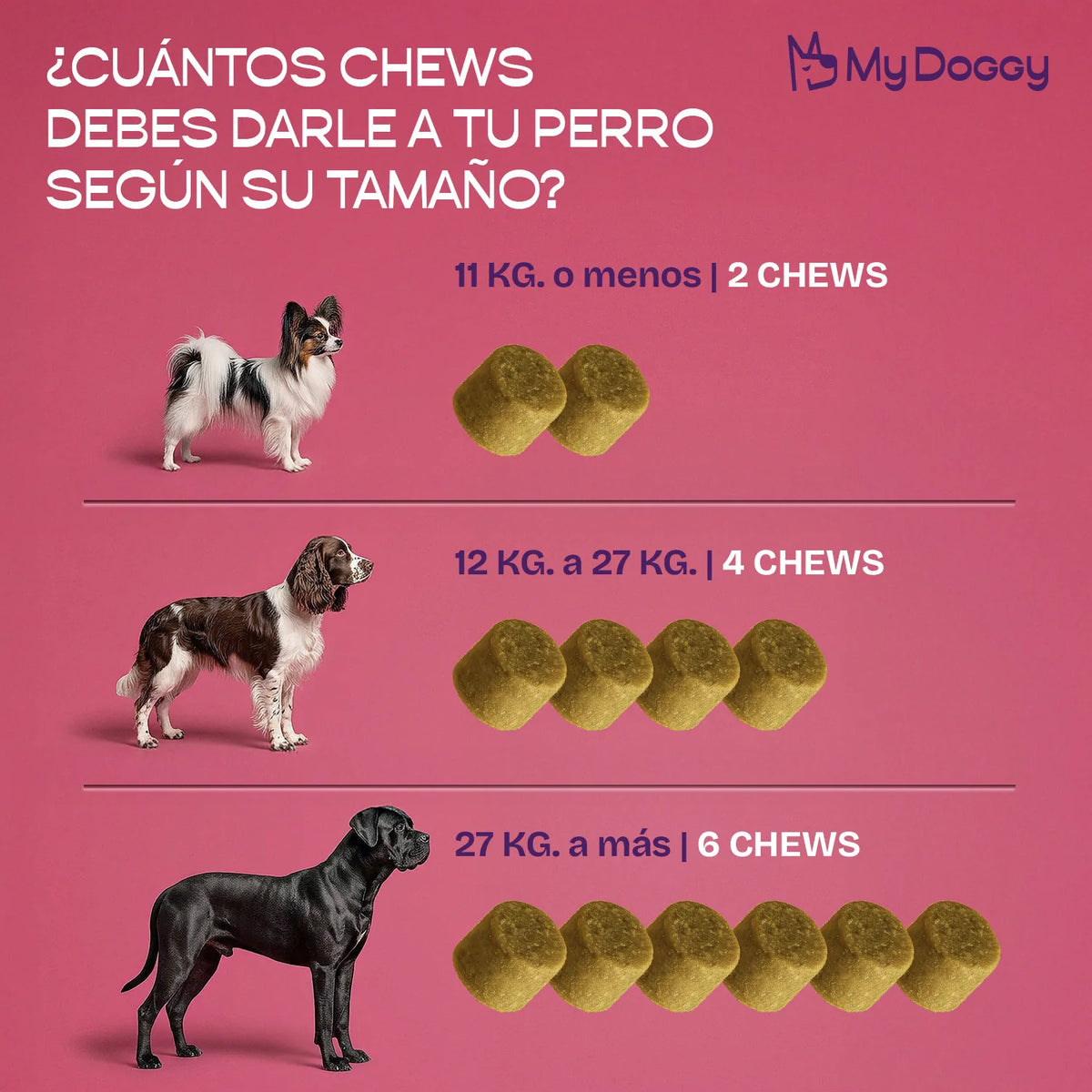 Bio Dogest Pro