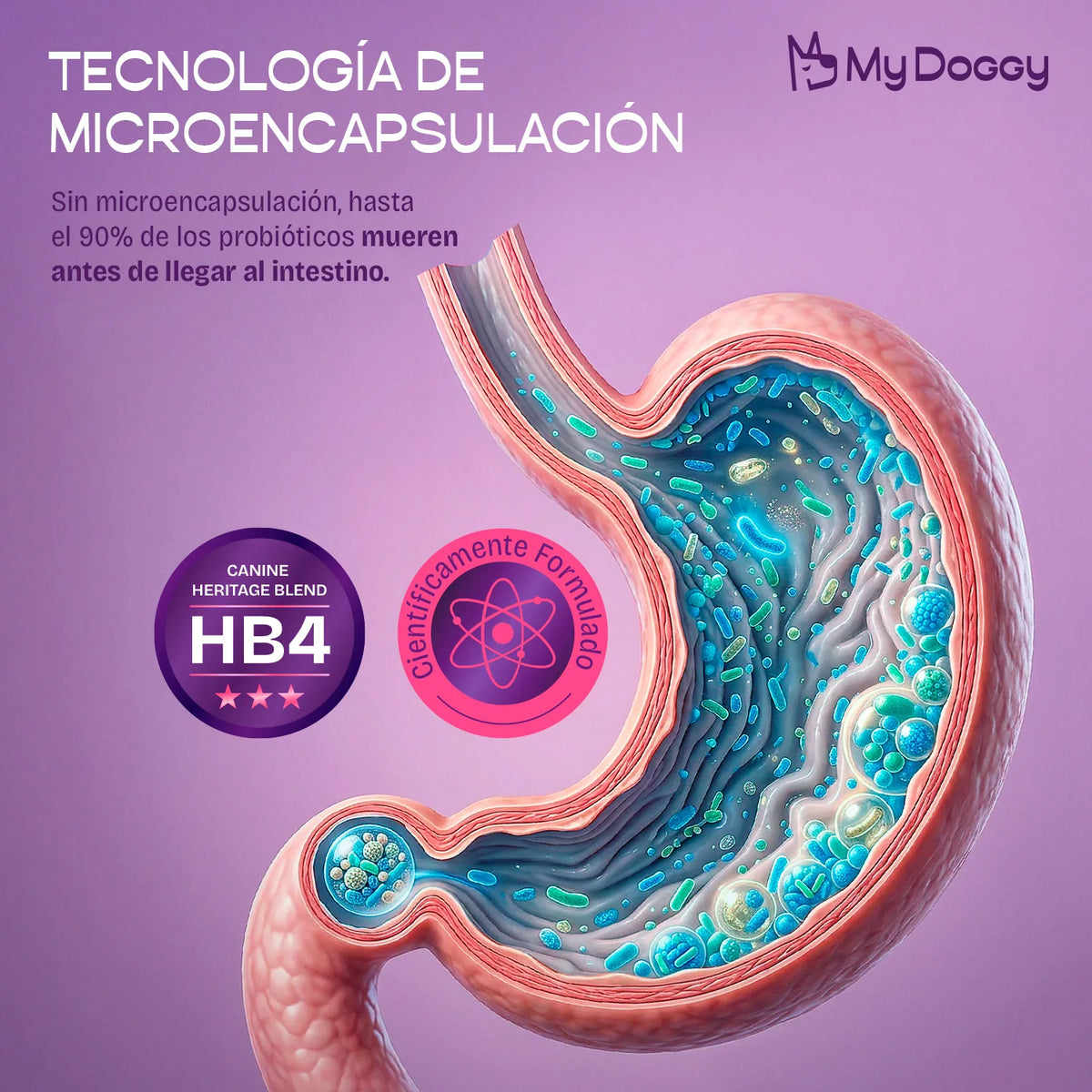 Bio Dogest Pro