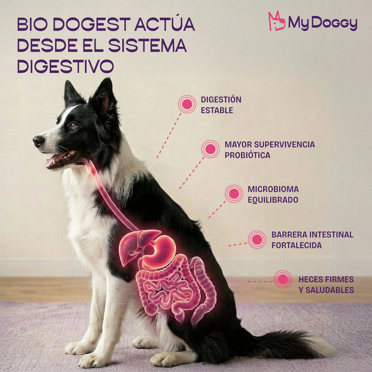 Bio Dogest Pro