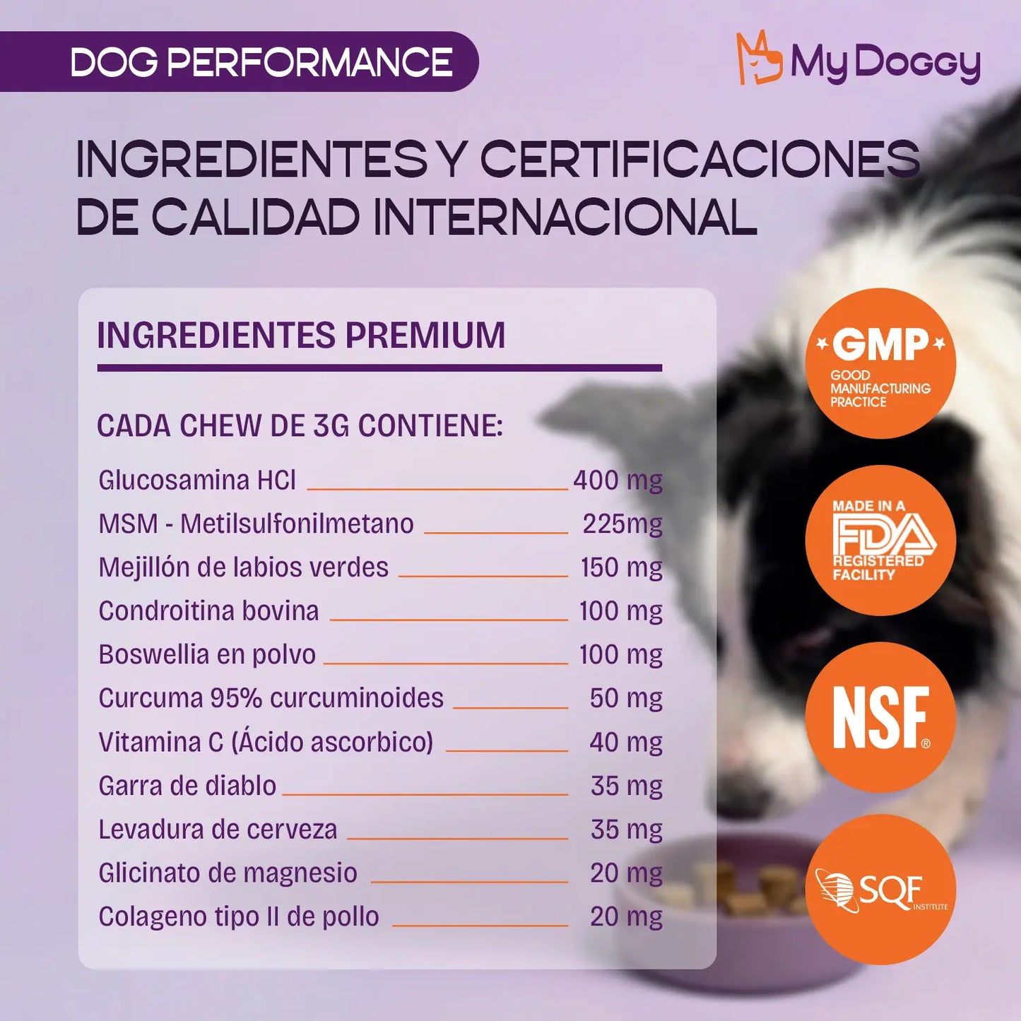 Dog Performance