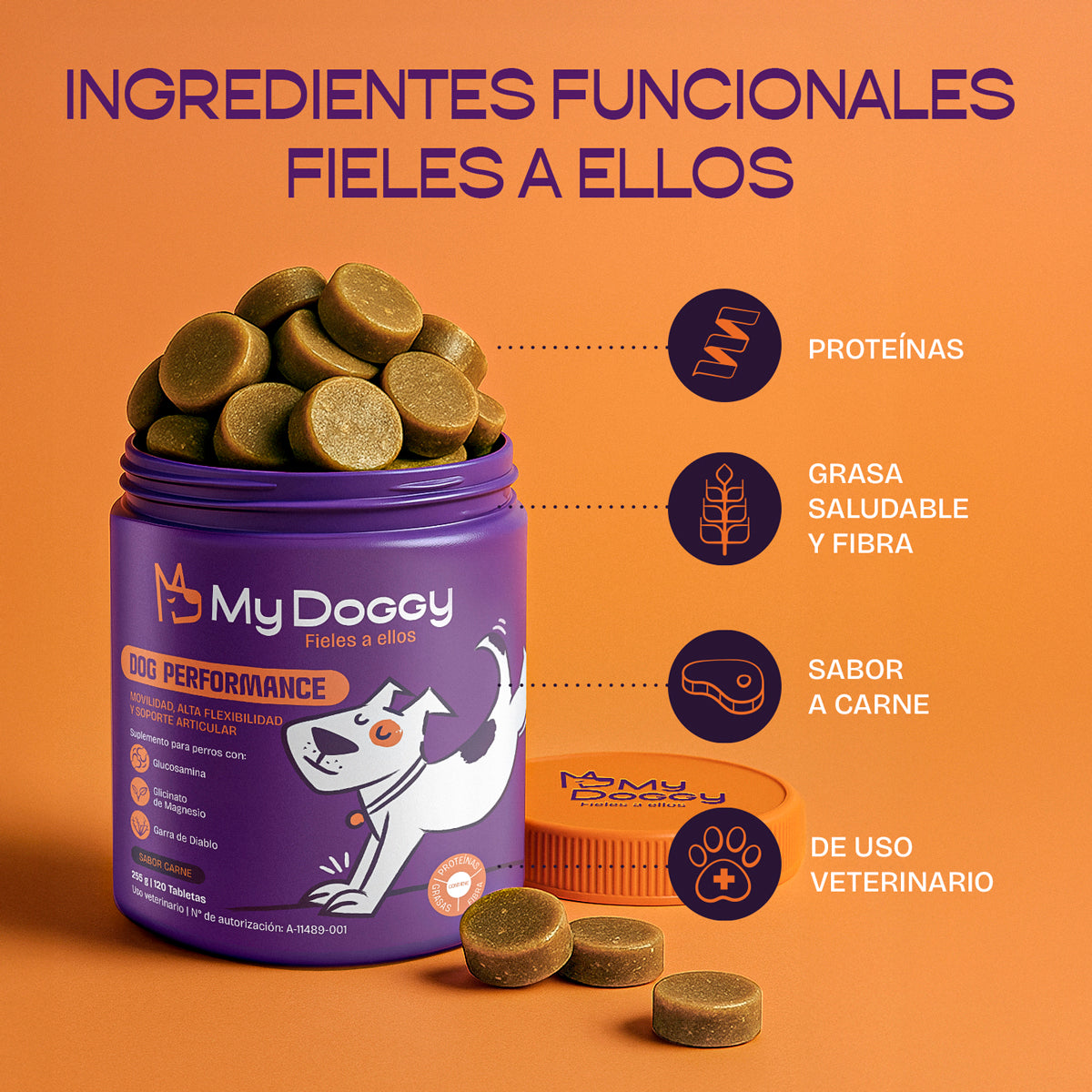 Dog Performance