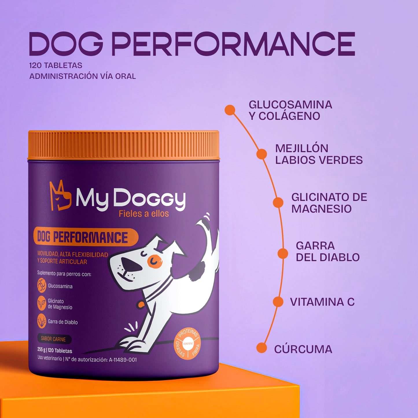 Dog Performance